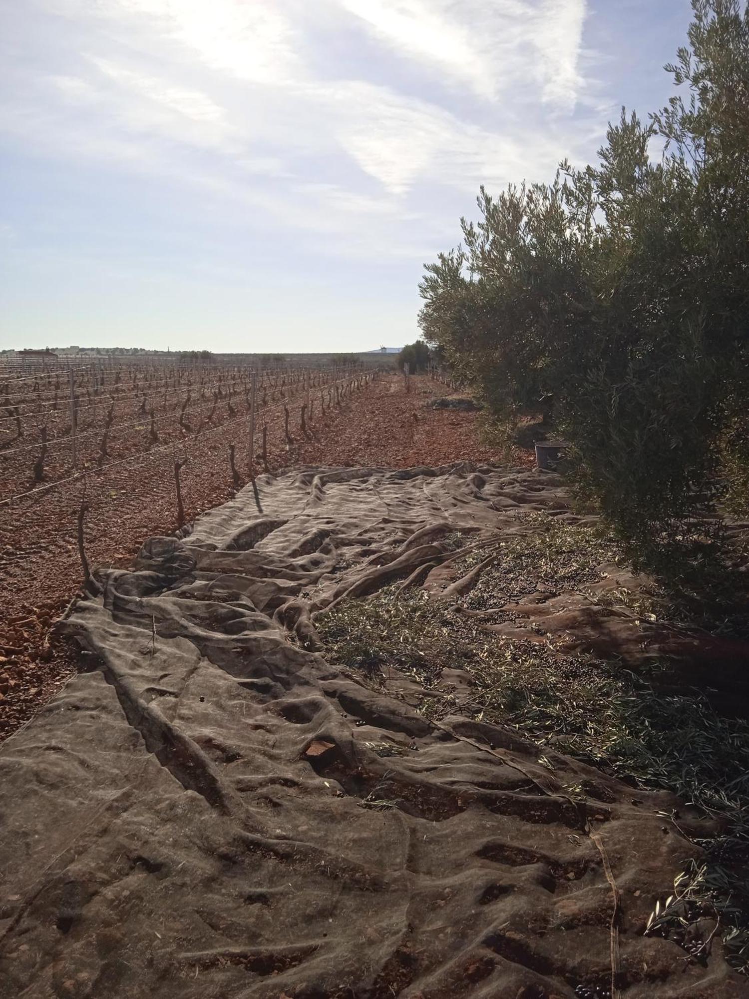Casa Rural Senorio De Quevedo Villanueva De Los Infantes Εξωτερικό φωτογραφία