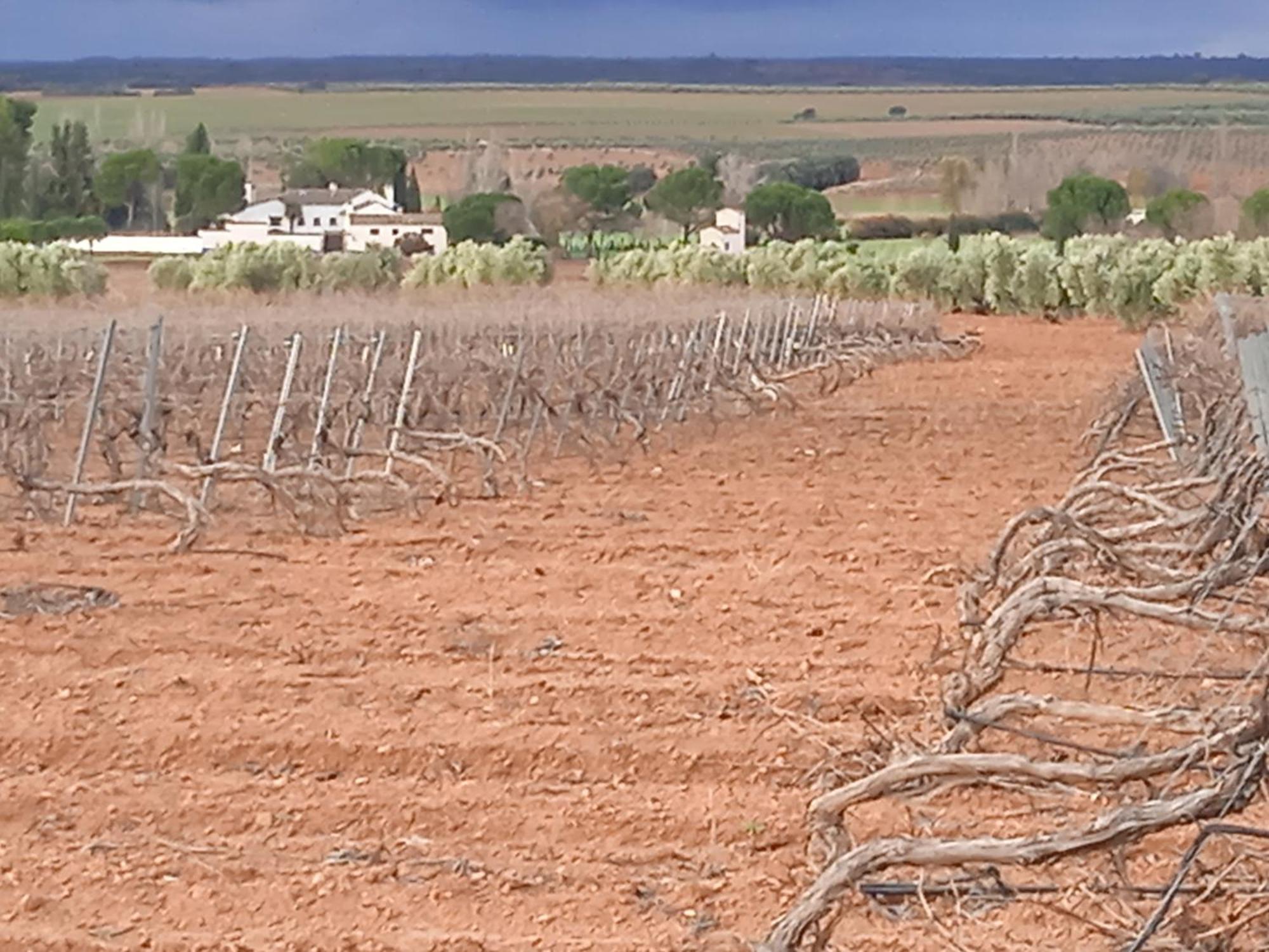 Casa Rural Senorio De Quevedo Villanueva De Los Infantes Εξωτερικό φωτογραφία